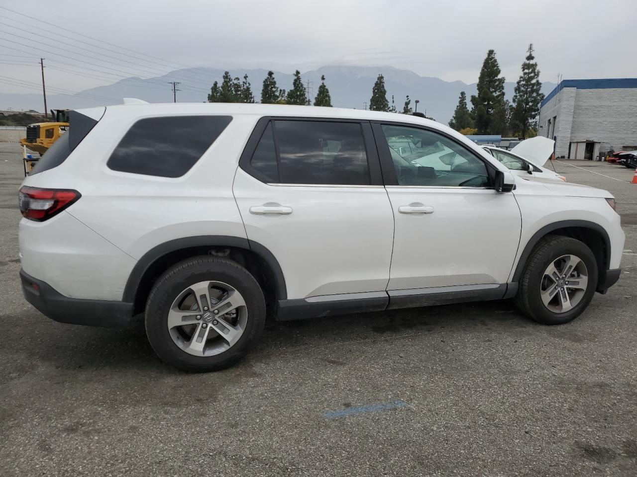 2024 HONDA PILOT EXL - Image 3