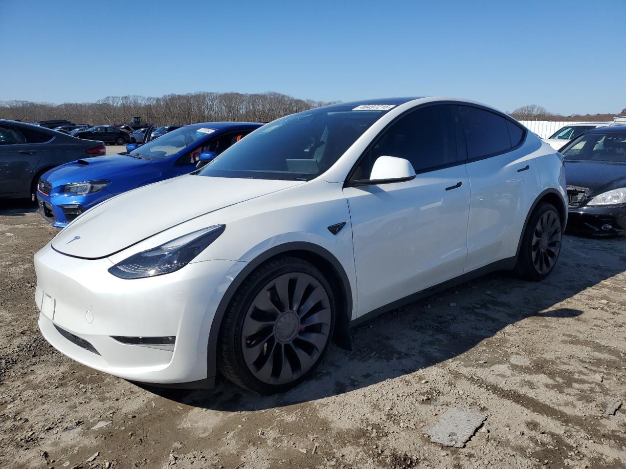 2023 TESLA MODEL Y