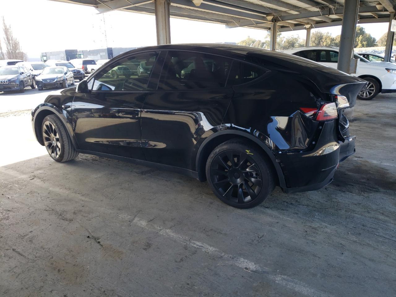 2023 TESLA MODEL Y - Фото 2