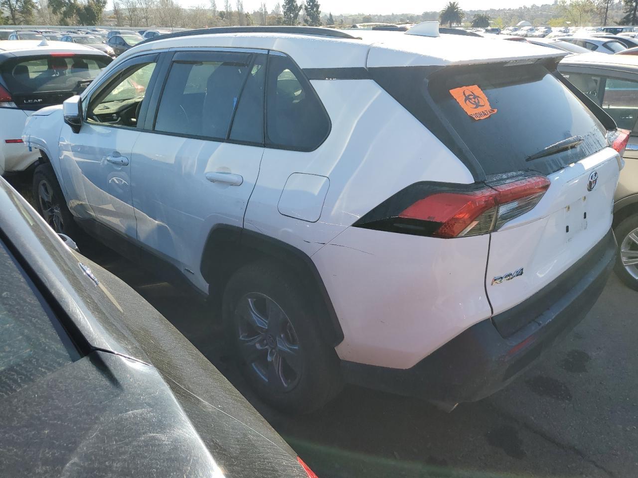 2023 TOYOTA RAV4 LE - Image 2