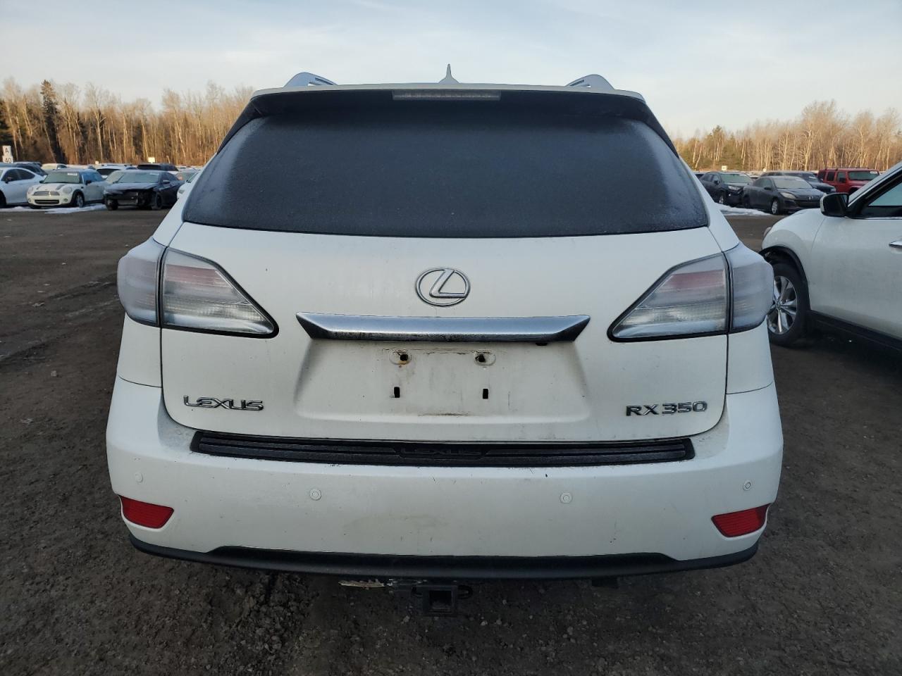 2010 LEXUS RX 350 - Фото 6