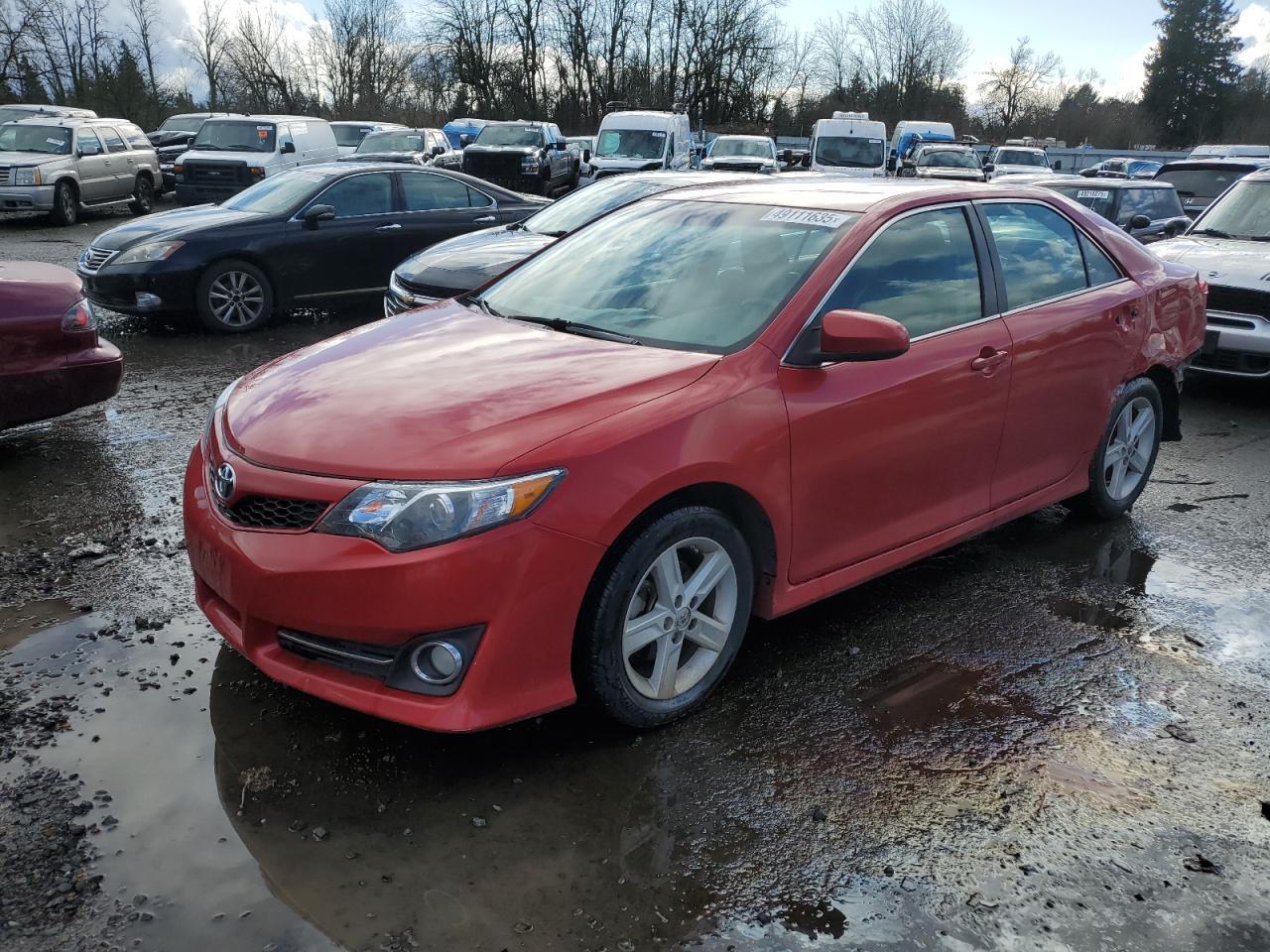 2013 TOYOTA CAMRY L