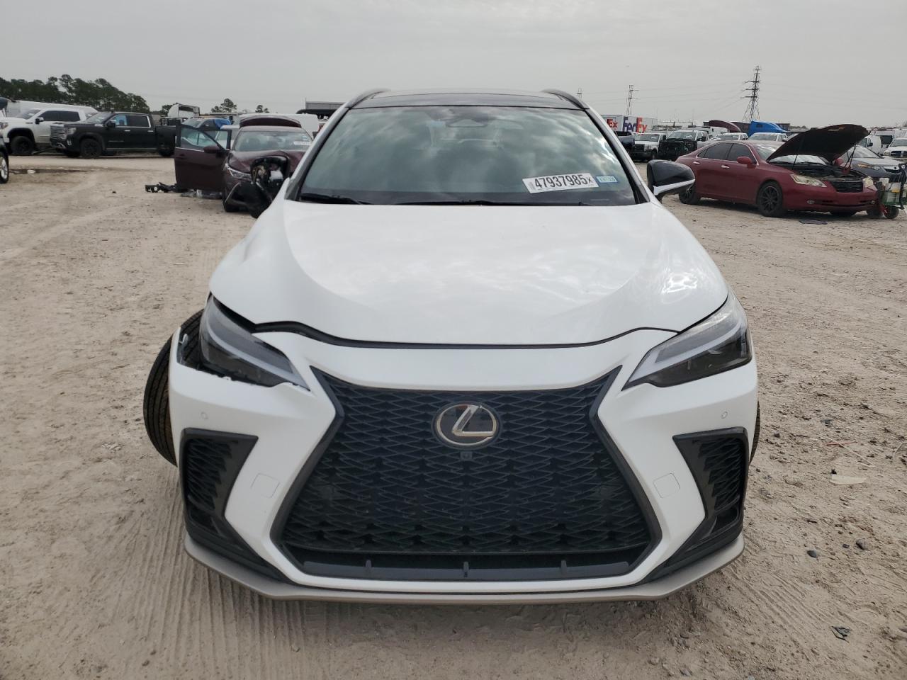 2024 LEXUS NX 350 LUX - Фото 5