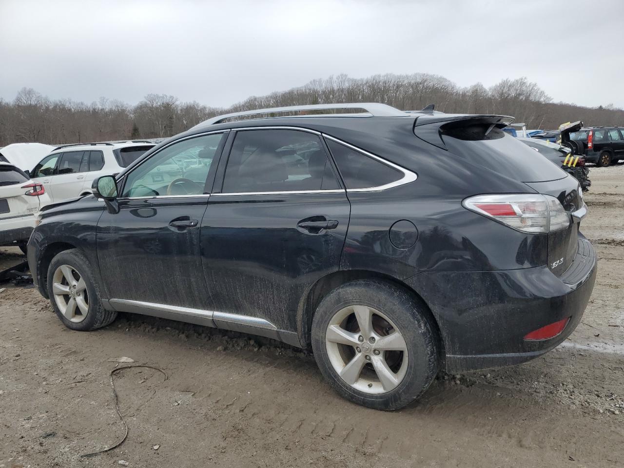 2010 LEXUS RX 350 - Фото 2