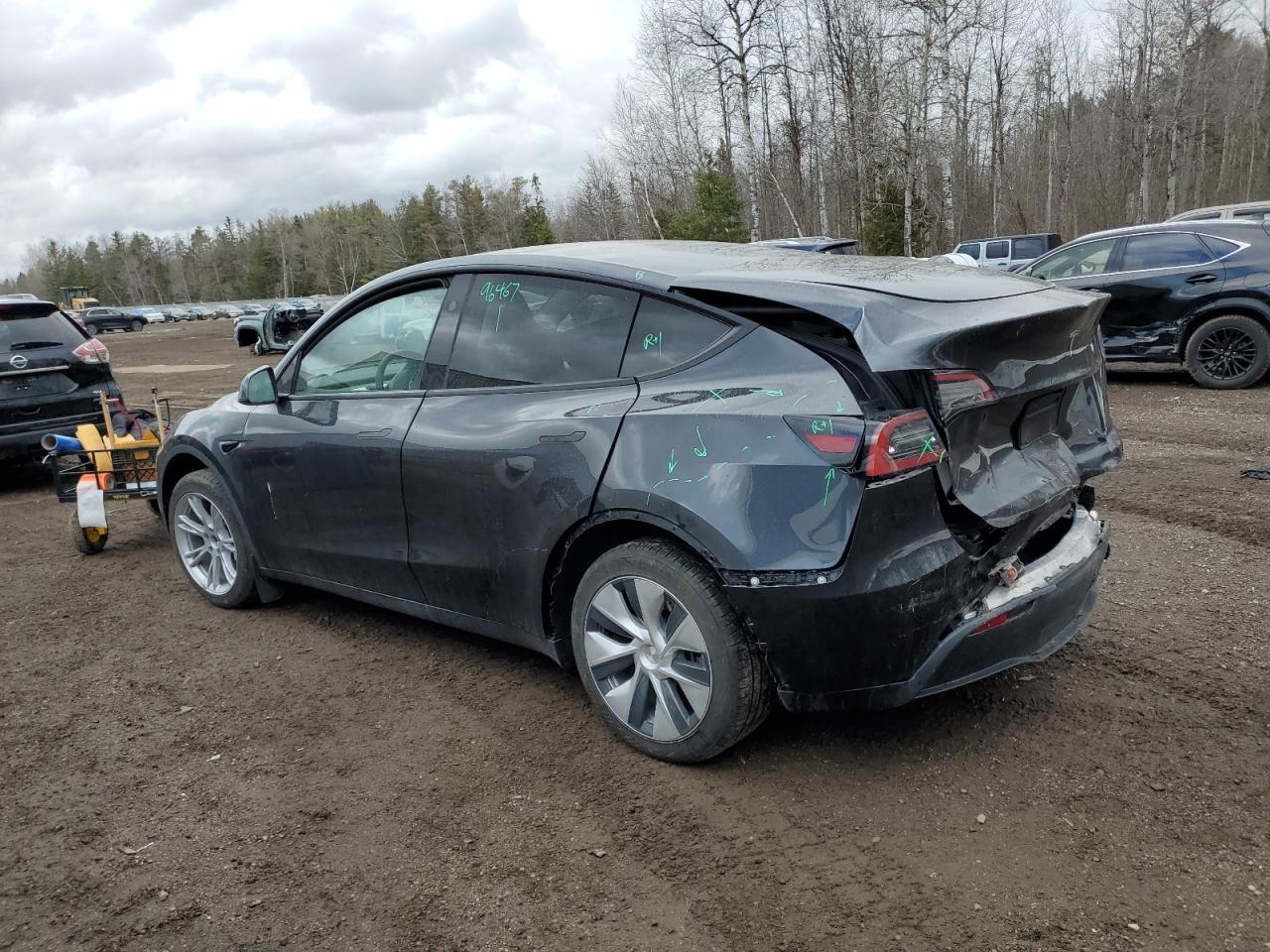 2024 TESLA MODEL Y - Фото 2