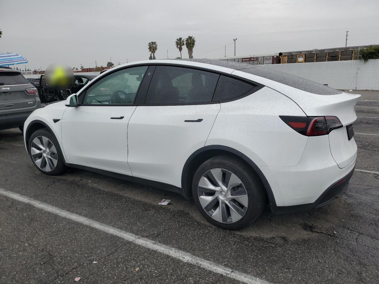2023 TESLA MODEL Y - Фото 2