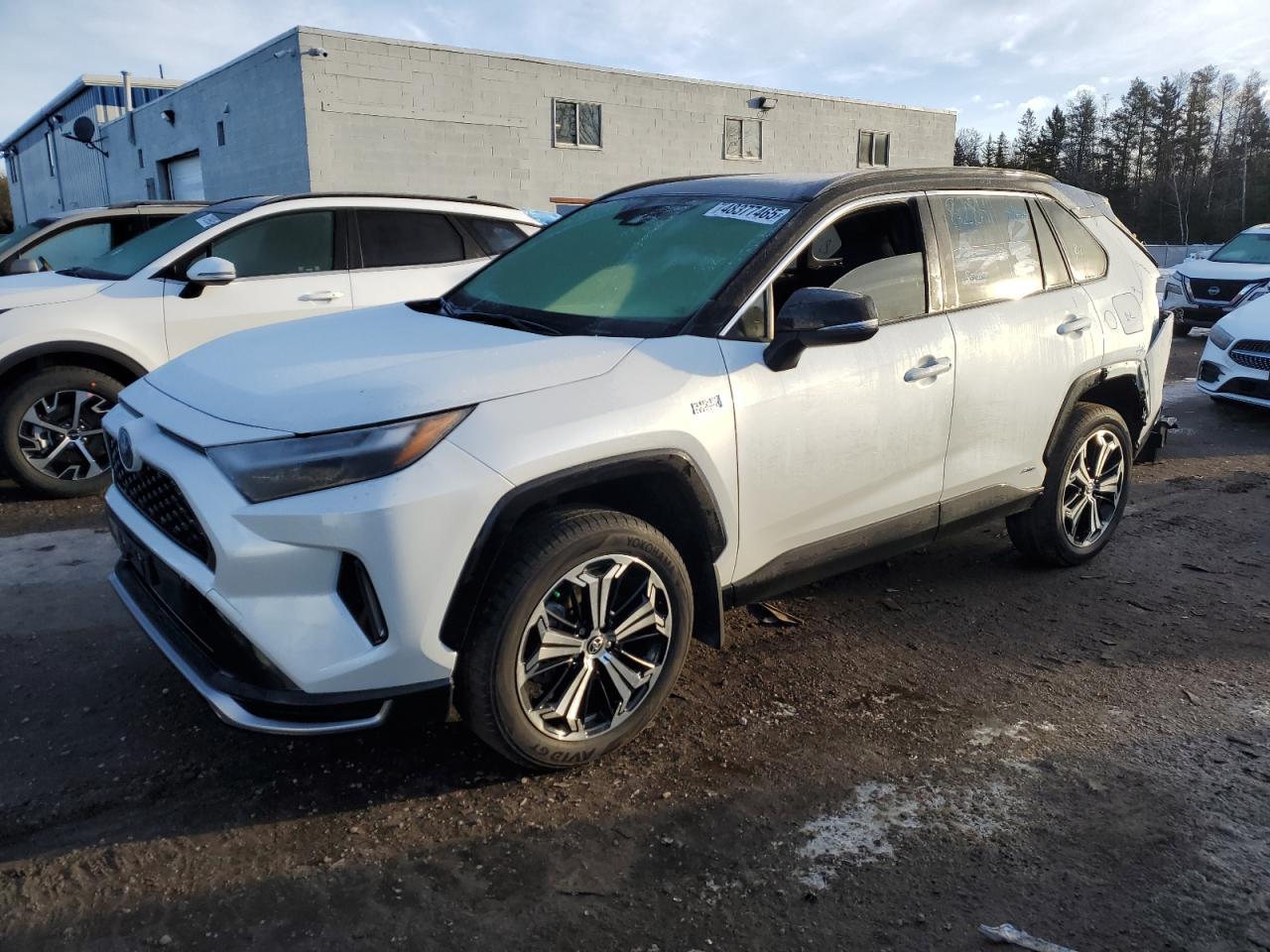 2023 TOYOTA RAV4 PRIME