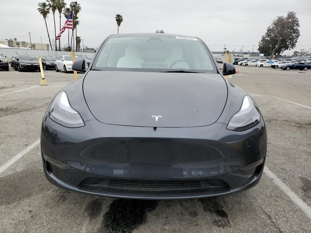 2025 TESLA MODEL Y - Image 5