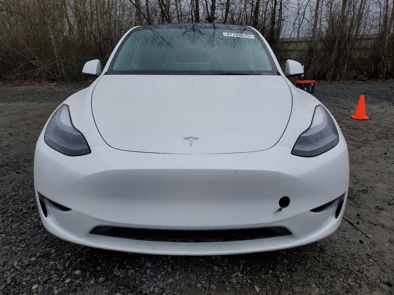2025 TESLA MODEL Y - Image 5