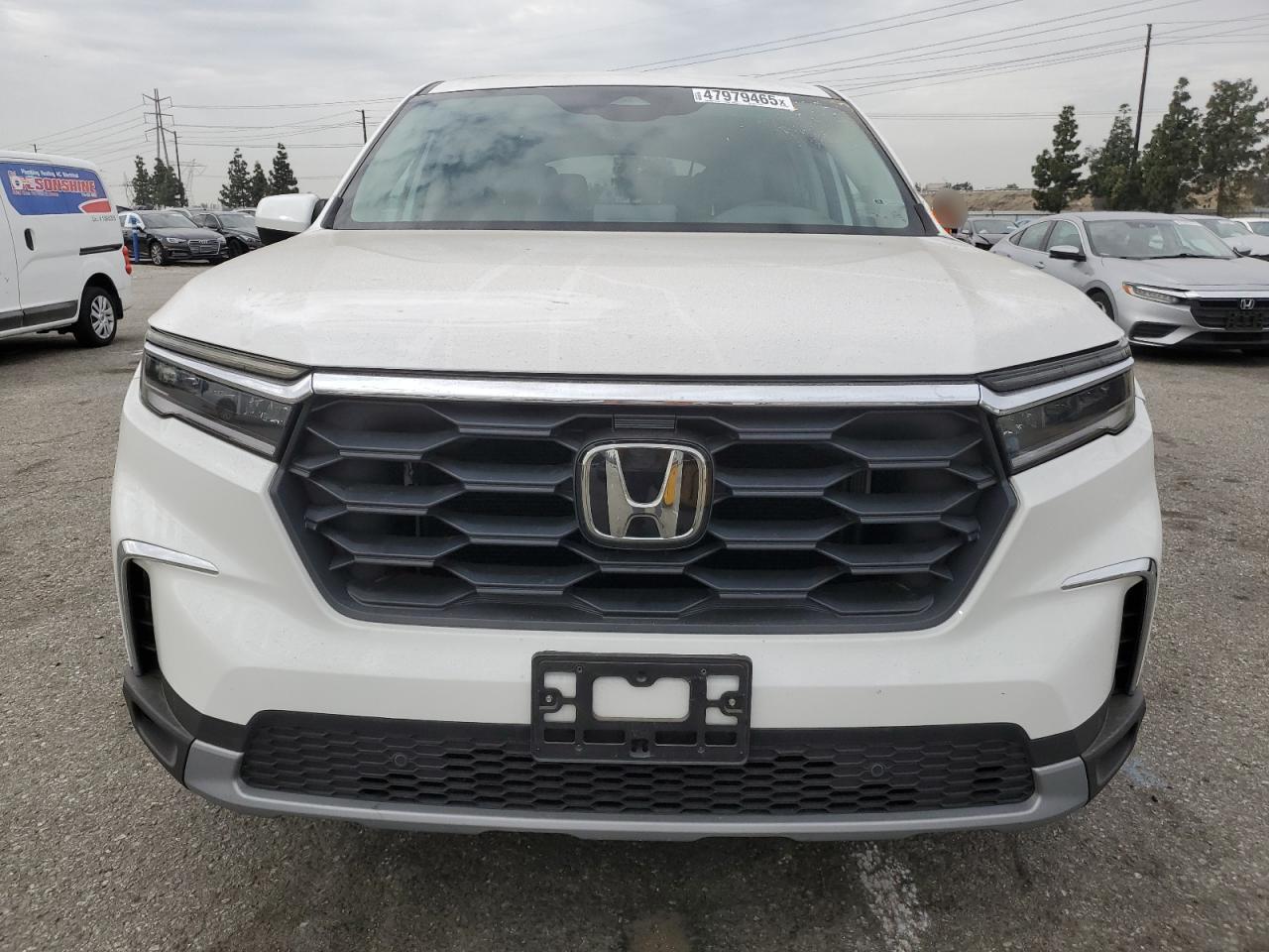 2024 HONDA PILOT EXL - Image 5