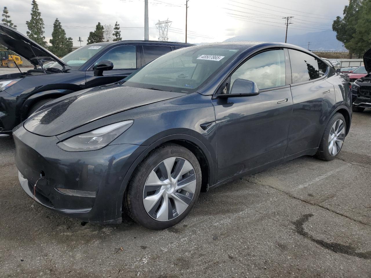 2024 TESLA MODEL Y