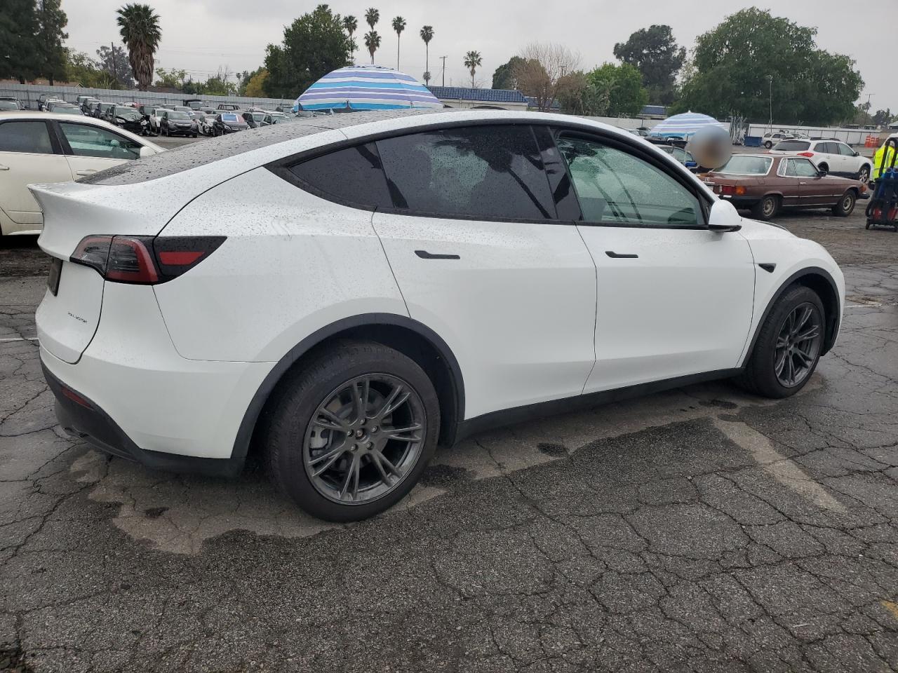 2024 TESLA MODEL Y - Image 3