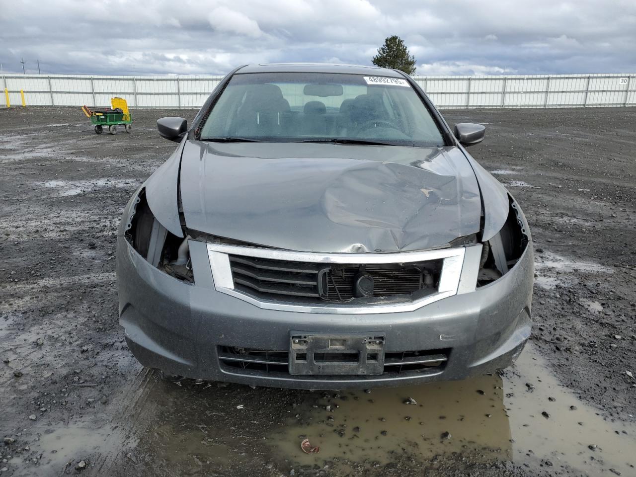 2010 HONDA ACCORD EXL - Image 5
