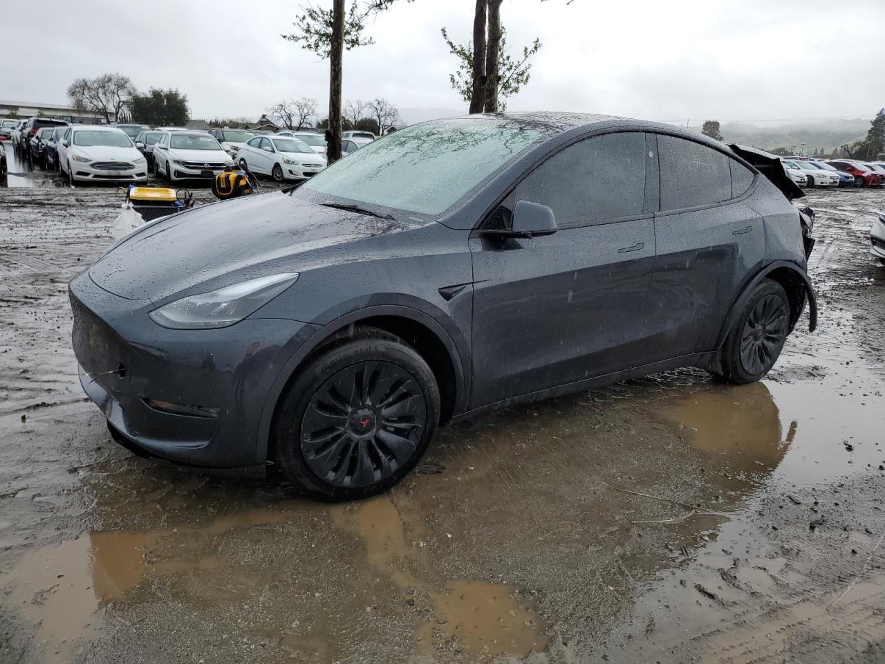 2024 TESLA MODEL Y