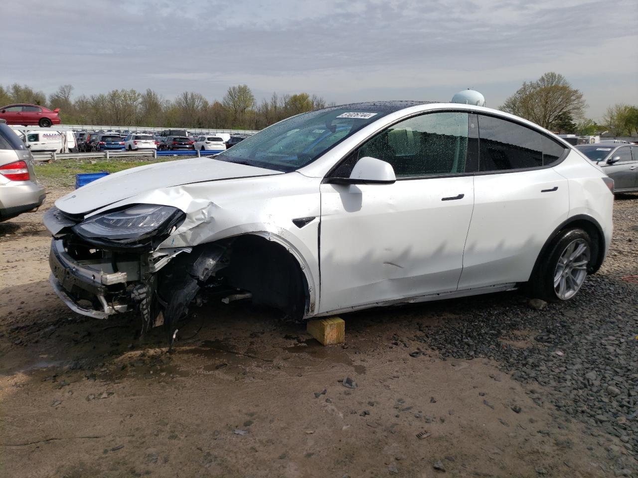 2021 TESLA MODEL Y car image