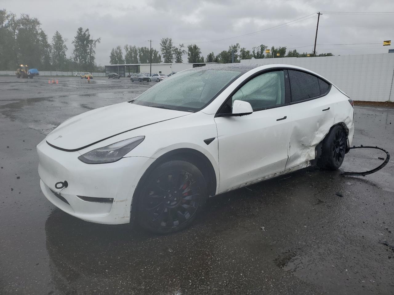 2022 TESLA MODEL Y car image