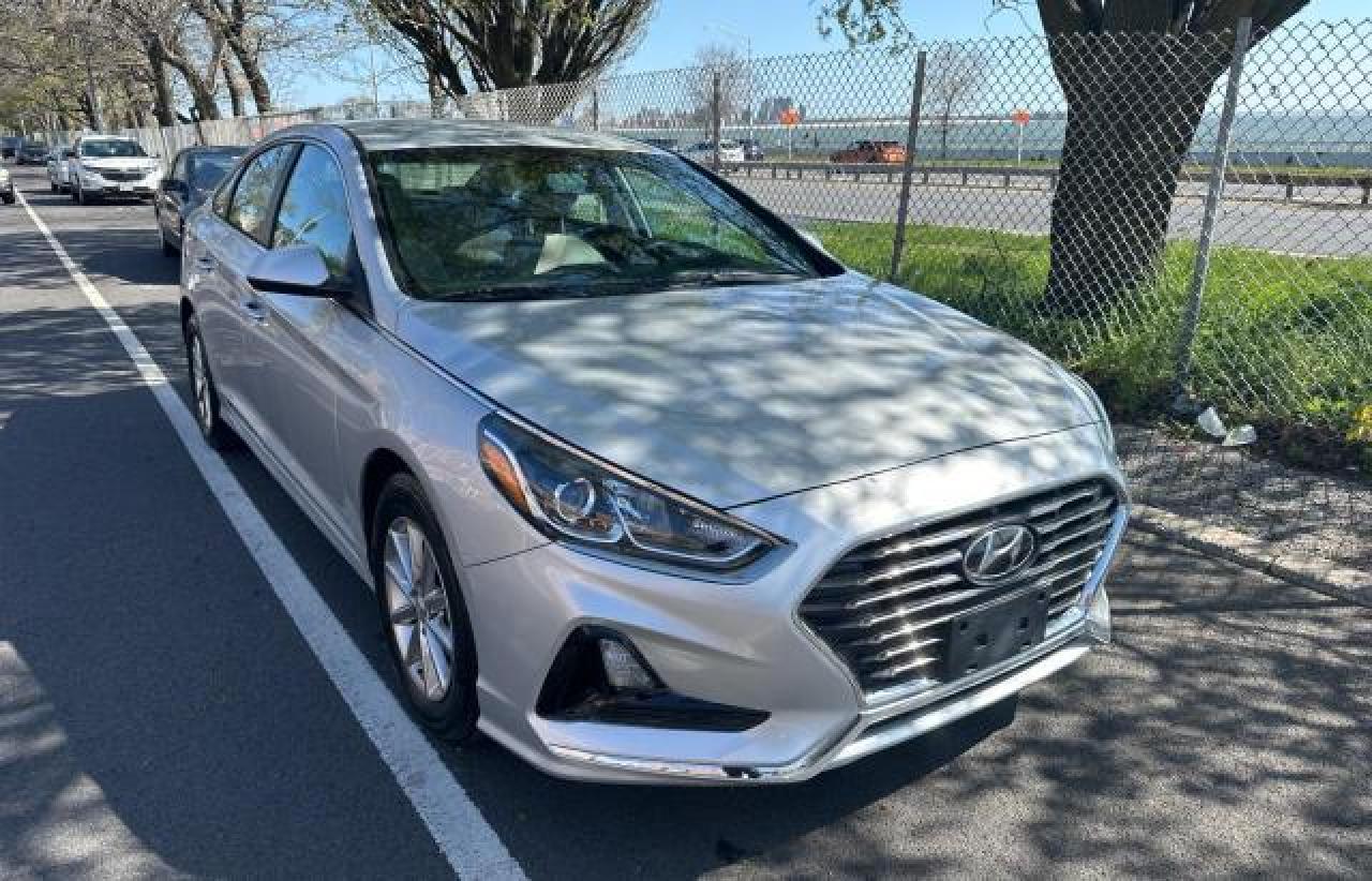 2019 HYUNDAI SONATA ECO car image