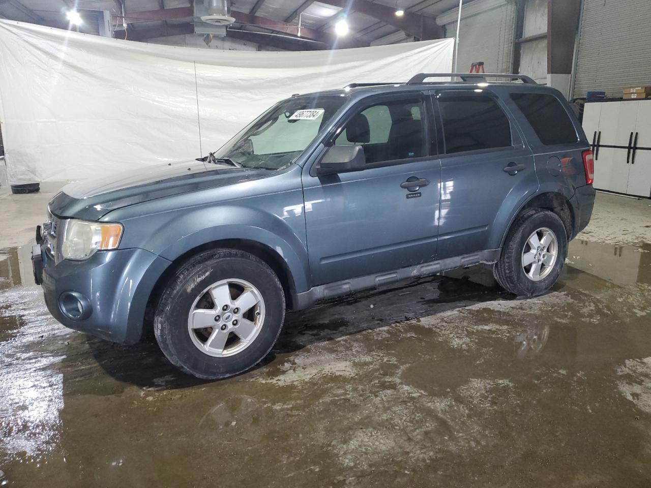 2010 FORD ESCAPE XLT
