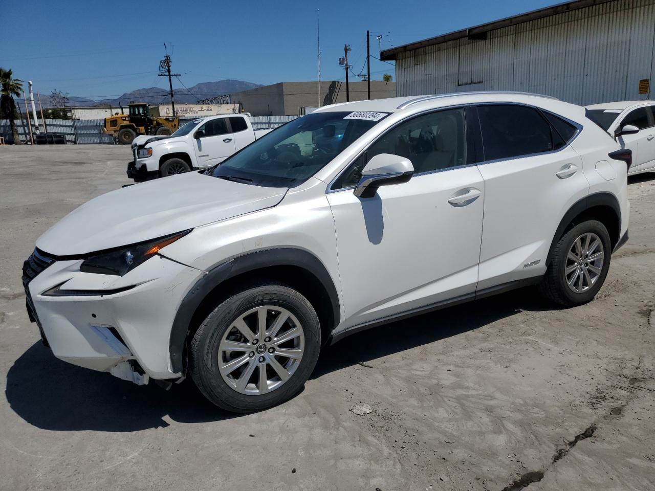 2019 LEXUS NX 300H car image