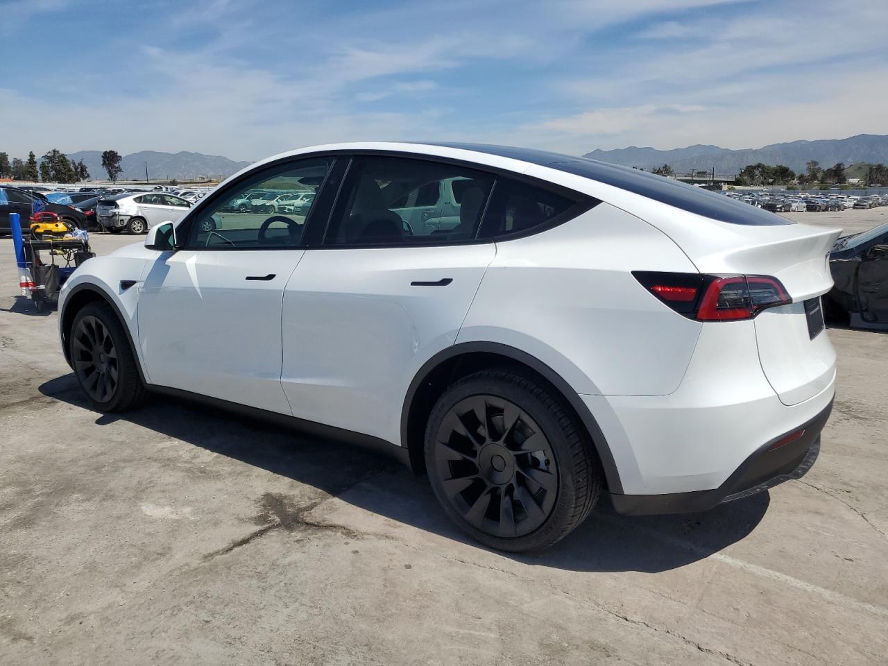 2024 TESLA MODEL Y - Image 2