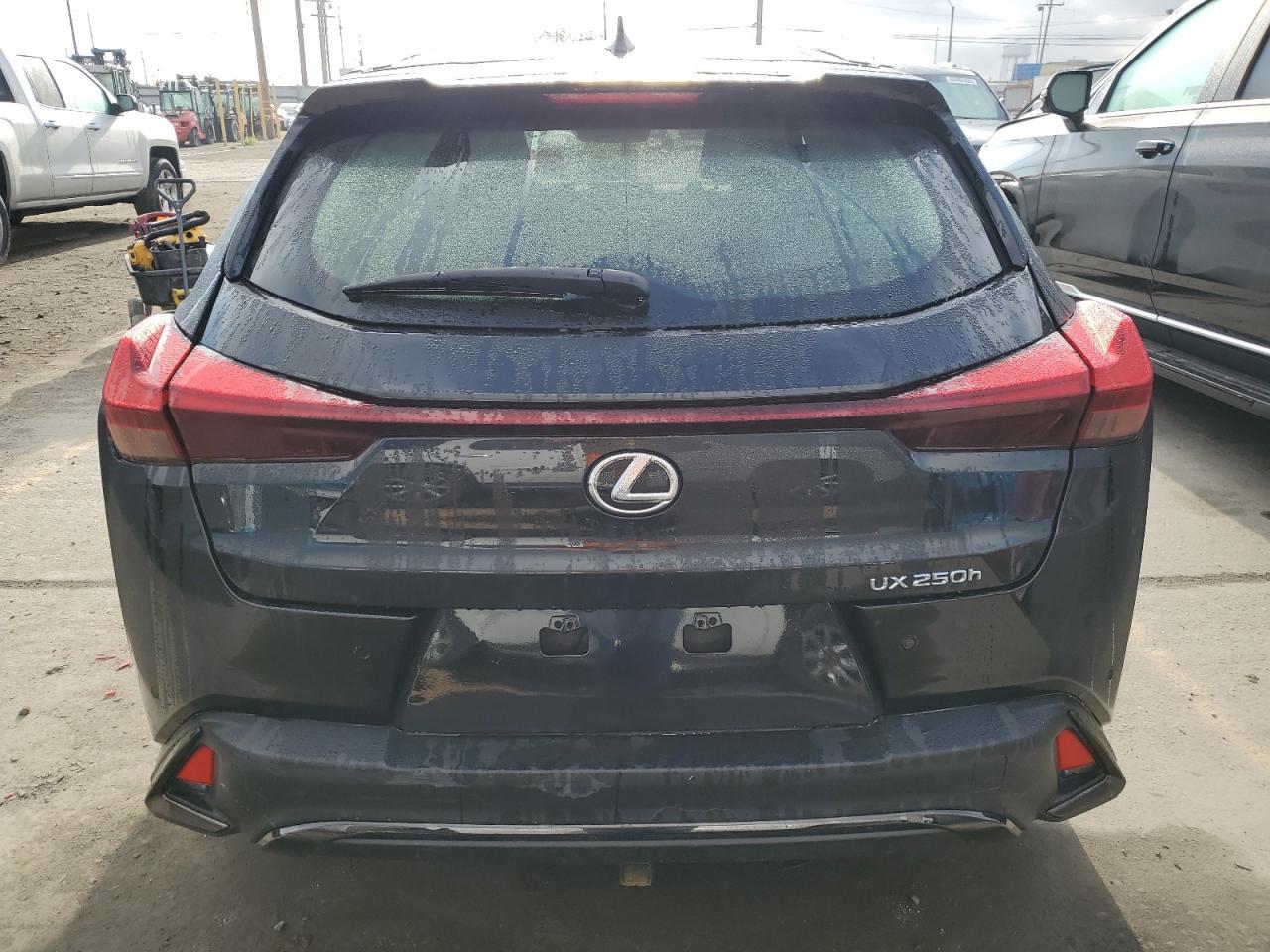 2023 LEXUS UX 250H BA - Фото 6