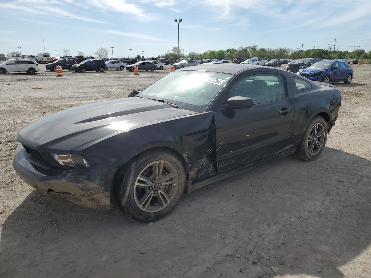 2010 FORD MUSTANG car image