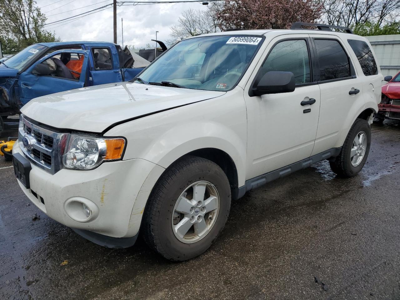 2010 FORD ESCAPE XLT
