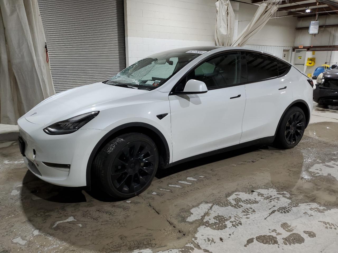 2022 TESLA MODEL Y car image