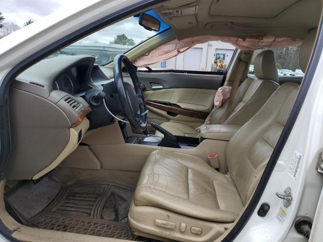 2010 Honda Accord Exl - Image 7