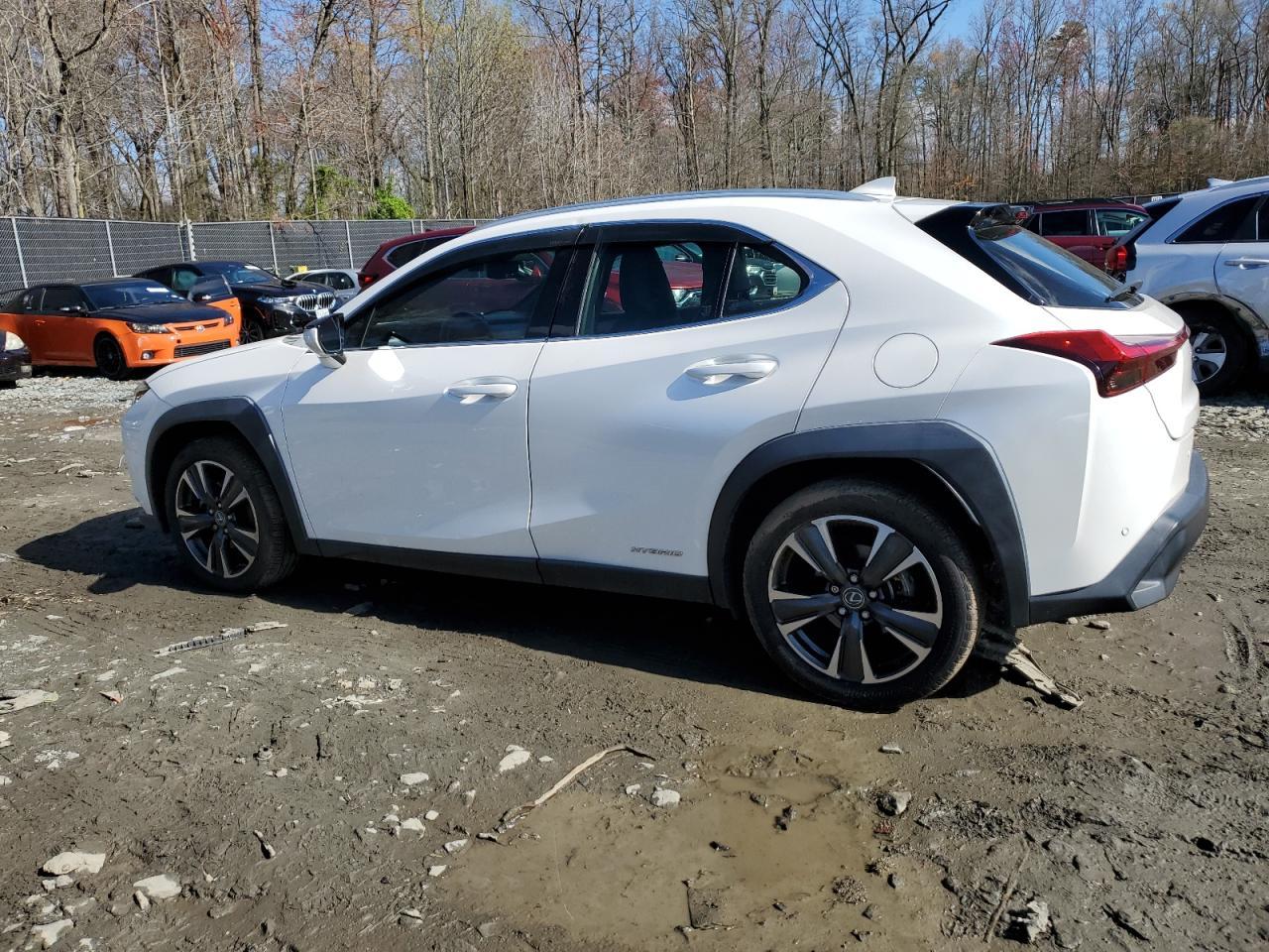 2020 LEXUS UX 250H - Image 2
