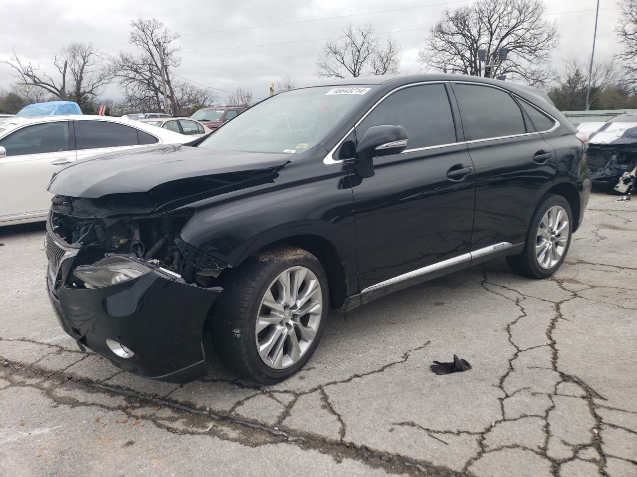 2010 LEXUS RX 450 car image