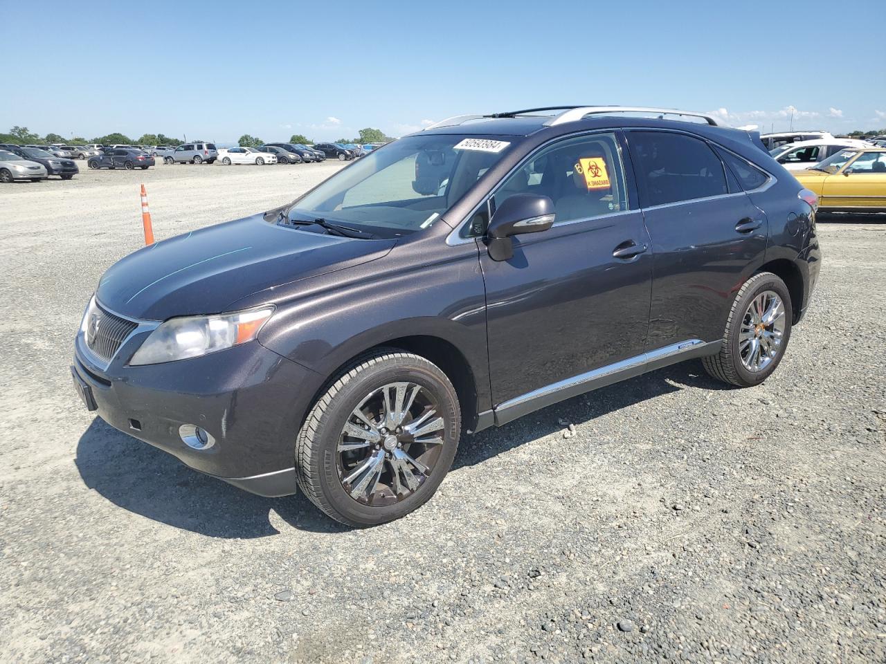 2010 LEXUS RX 450 car image