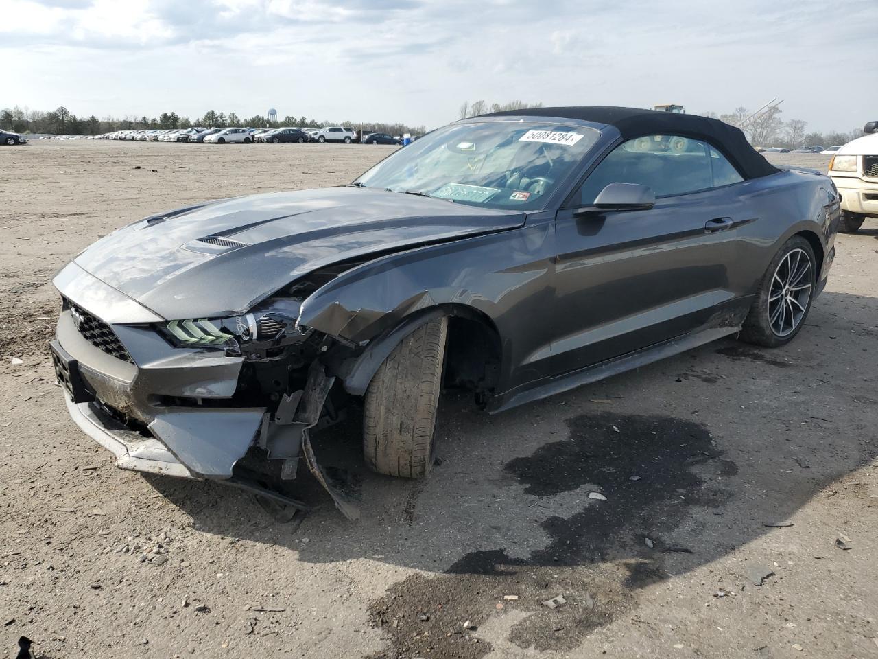 2019 FORD MUSTANG car image