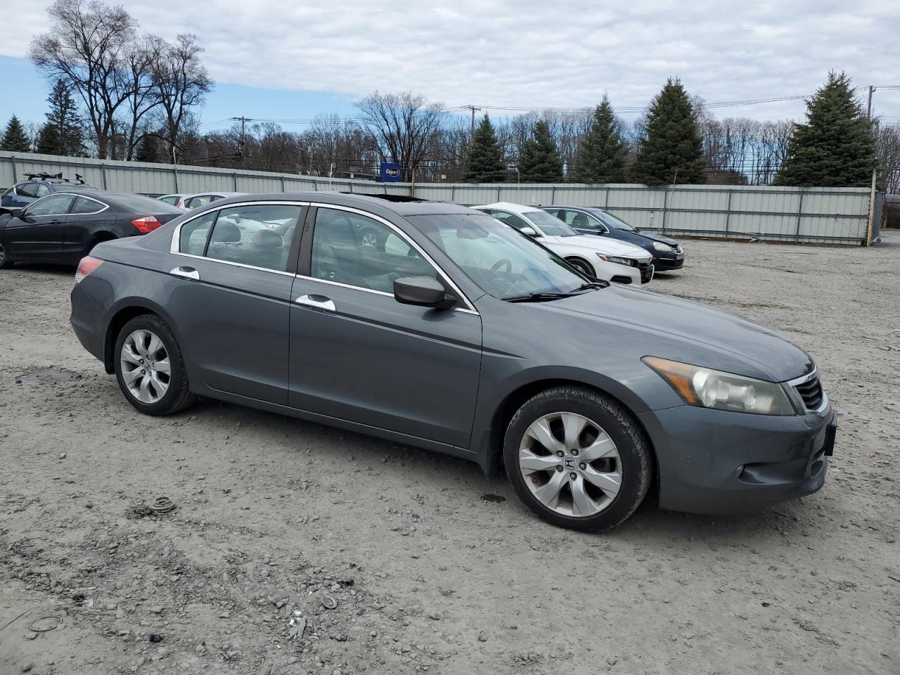 2010 HONDA ACCORD EXL - Image 4