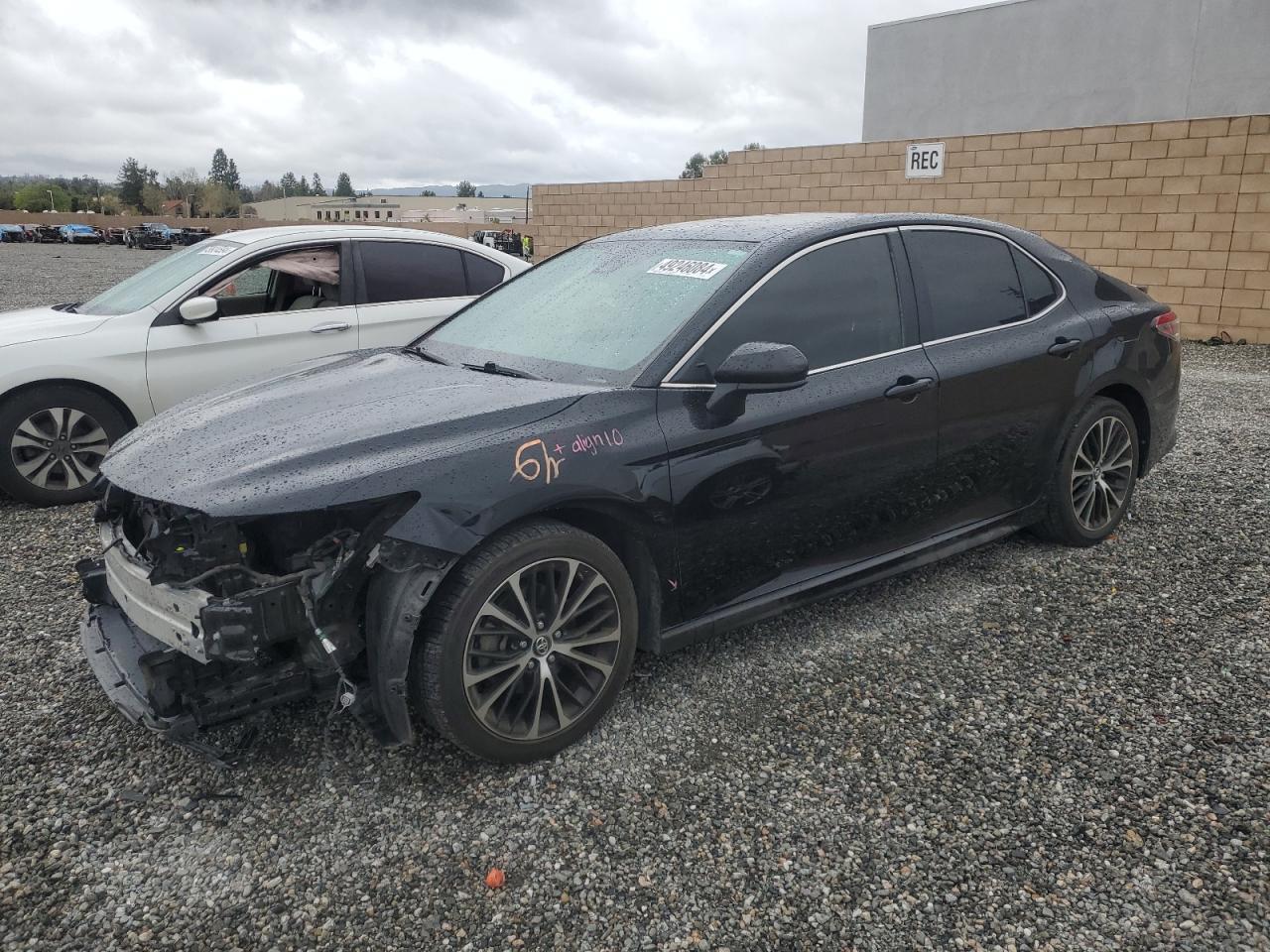 2019 TOYOTA CAMRY L
