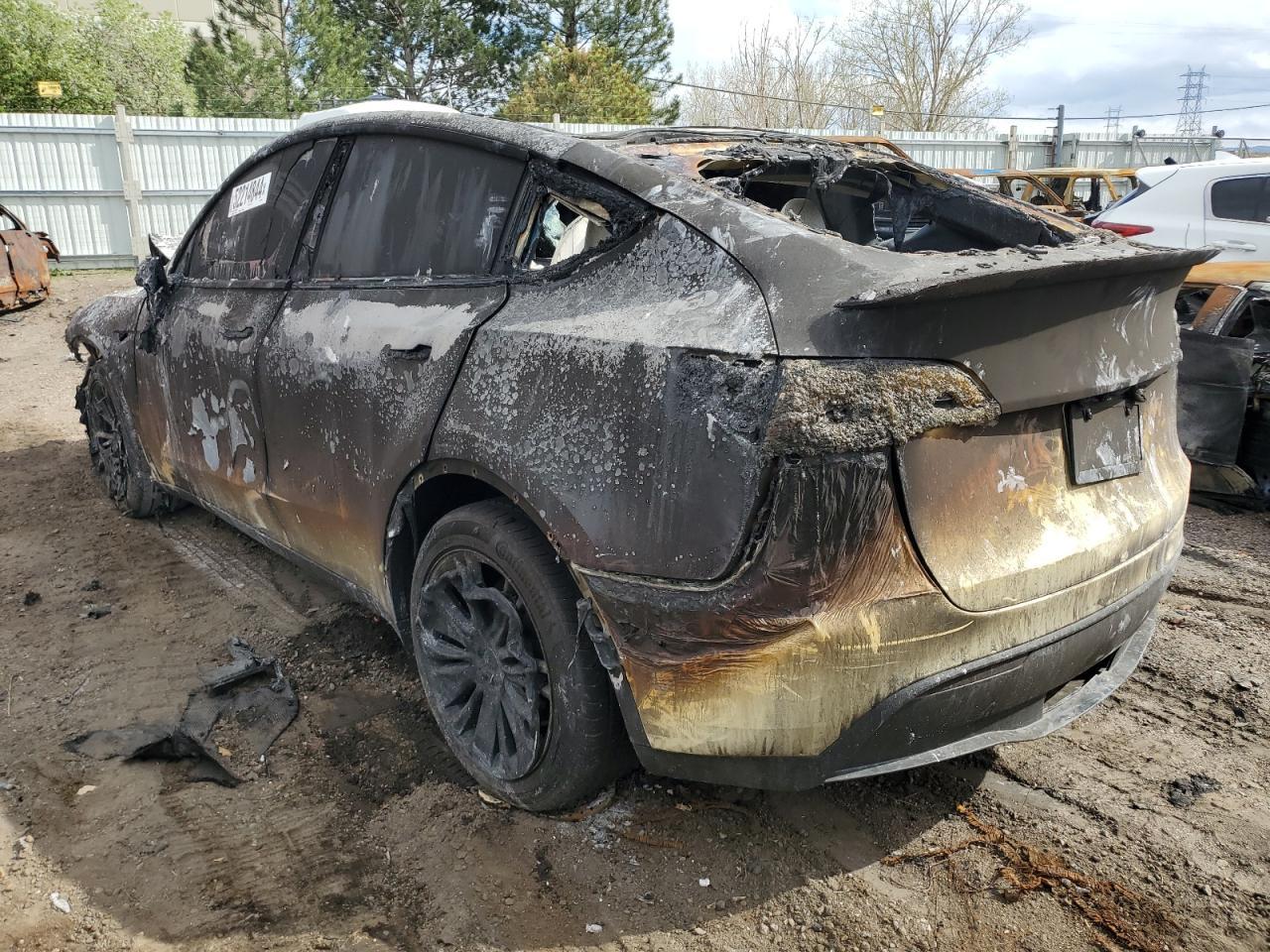 2023 TESLA MODEL Y - Фото 2