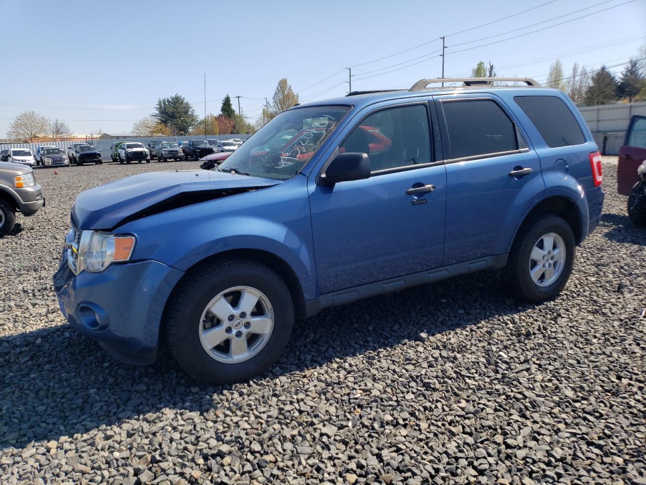 2010 FORD ESCAPE XLT