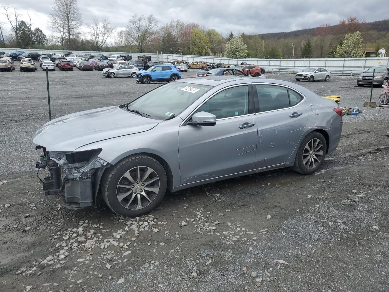 2015 ACURA TLX car image