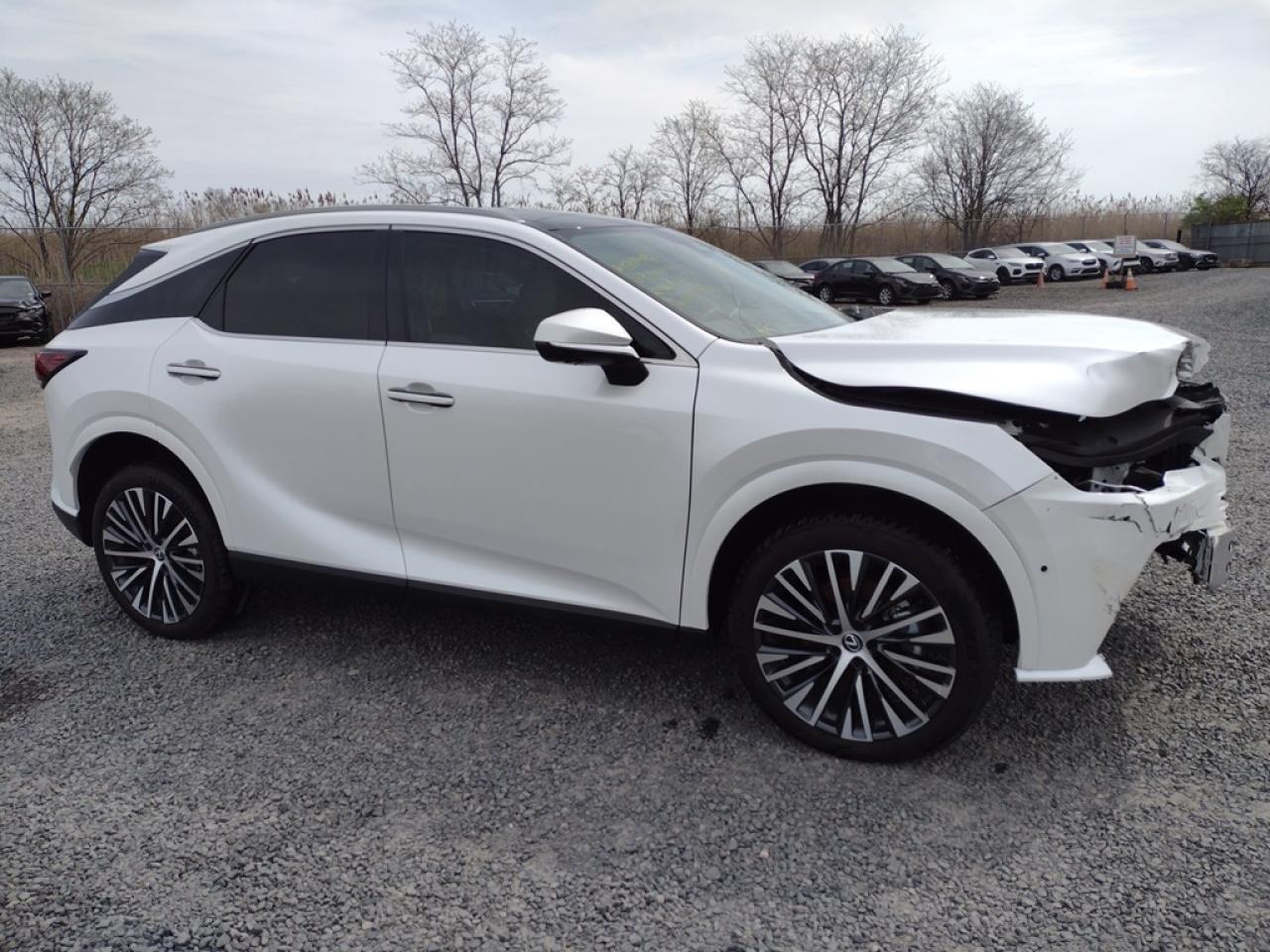 2023 LEXUS RX 350 BAS - Image 3