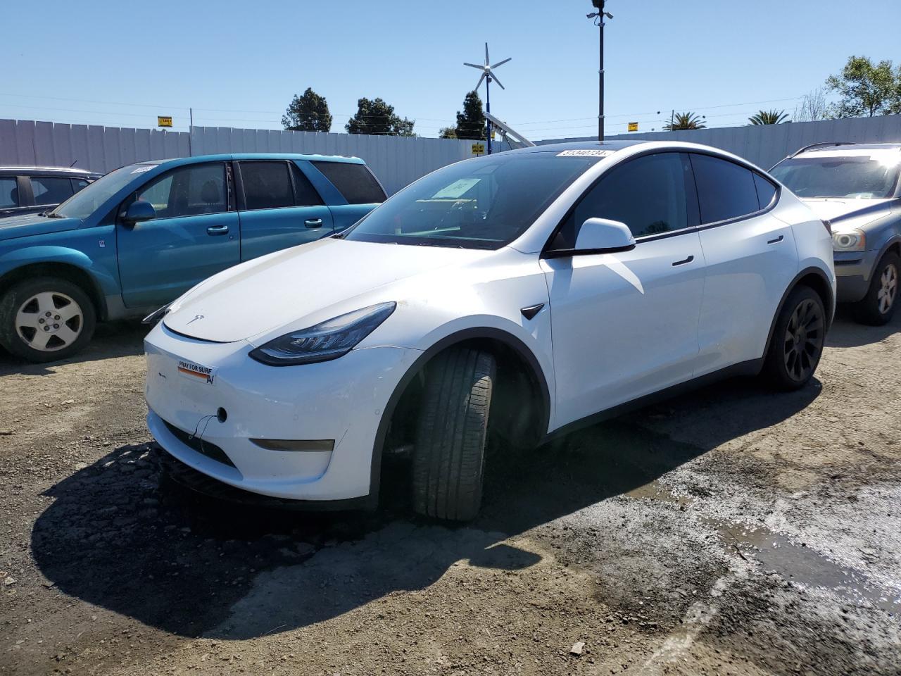 2020 TESLA MODEL Y car image