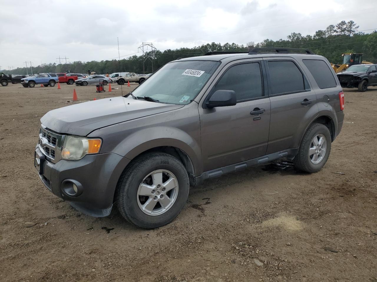 2010 FORD ESCAPE XLT