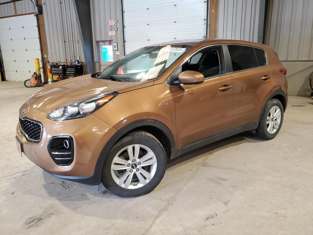 2019 KIA SPORTAGE L car image