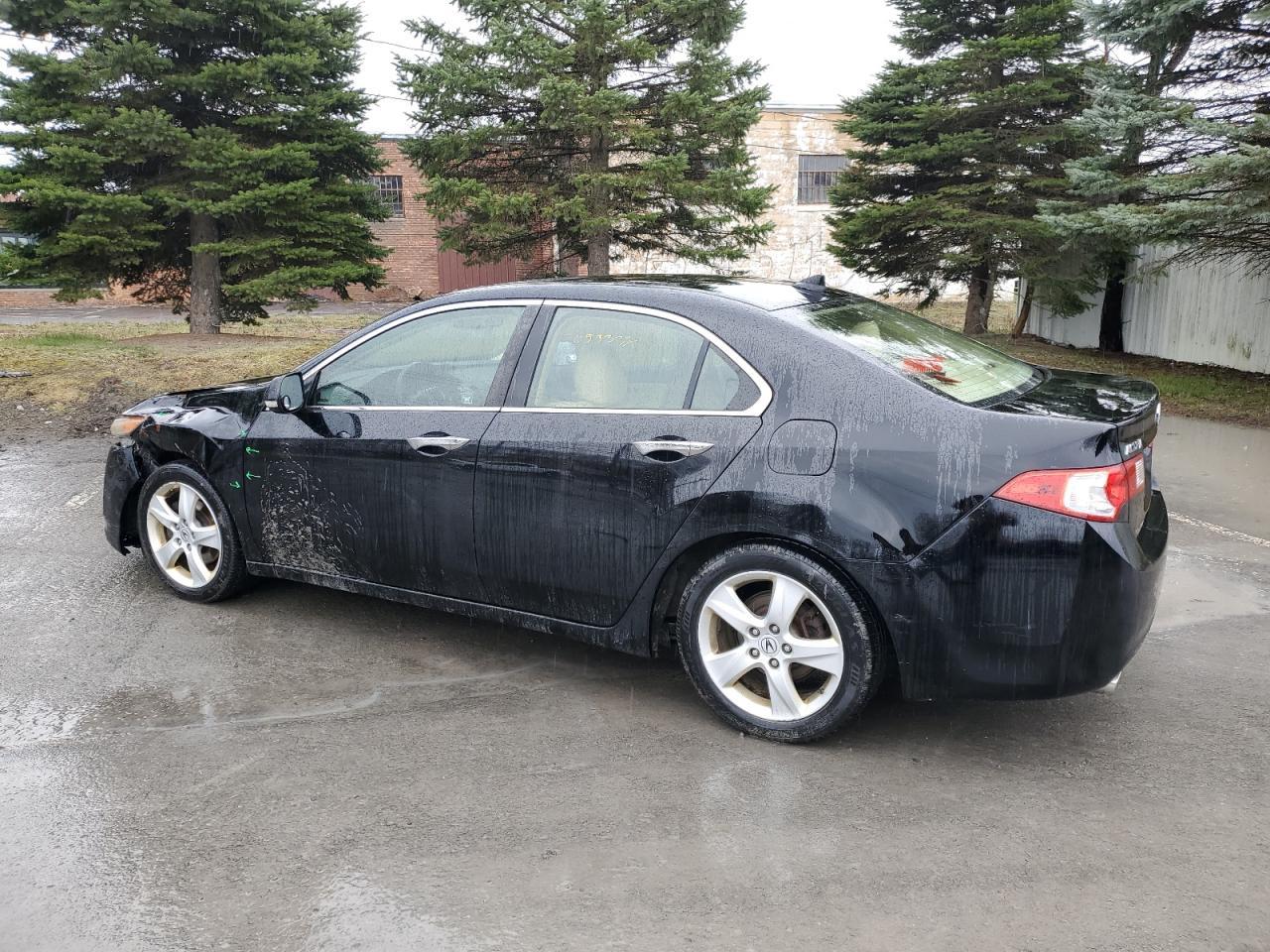 2010 ACURA TSX - Image 2