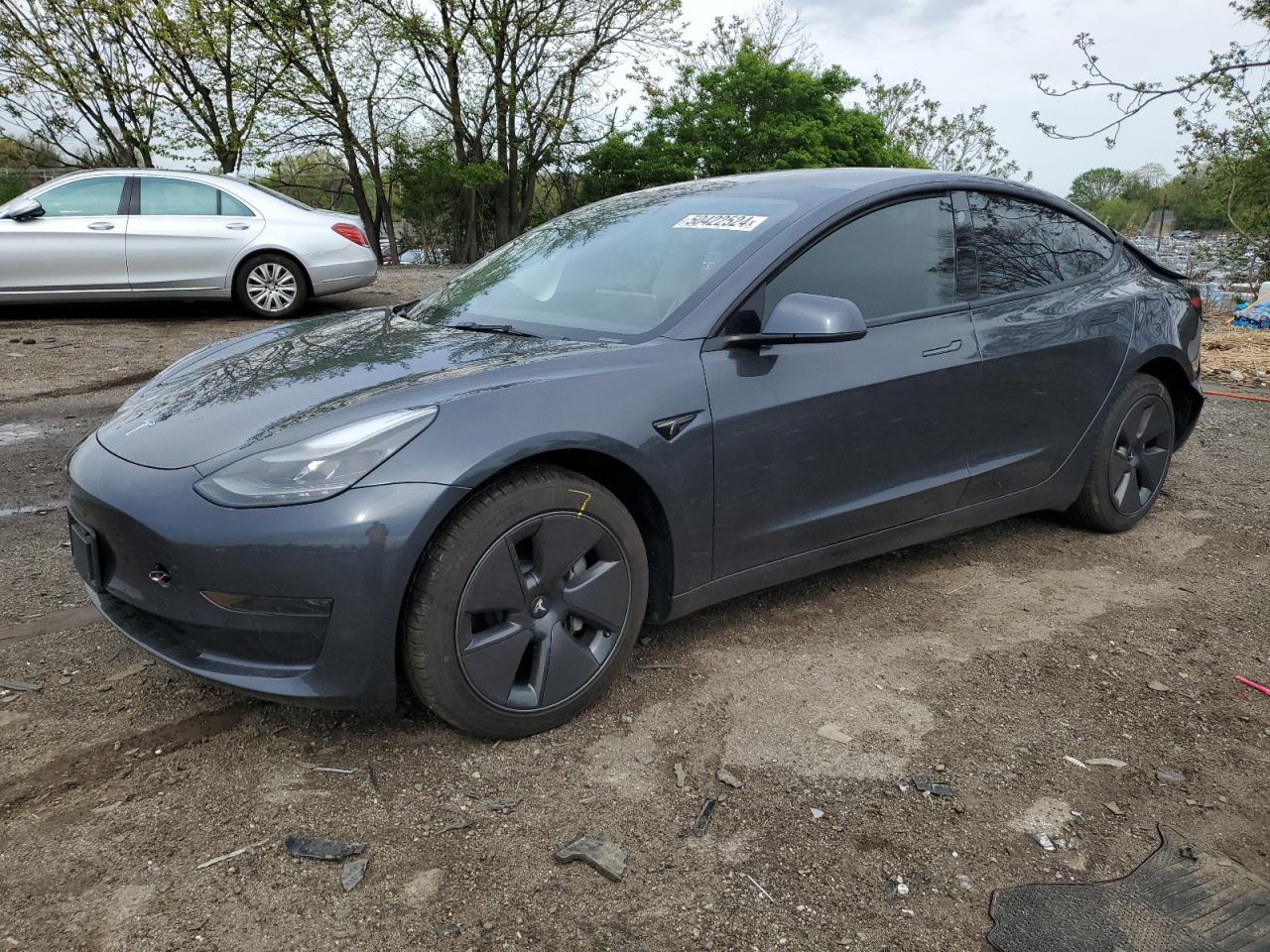 2023 TESLA MODEL 3 car image