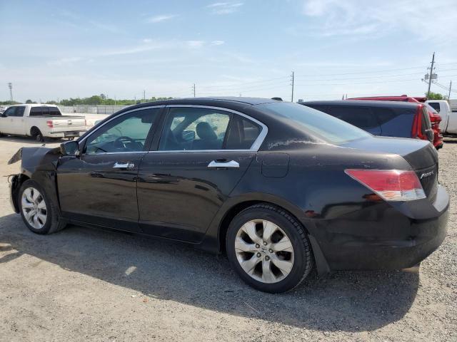 2010 Honda Accord Exl - Фото 2