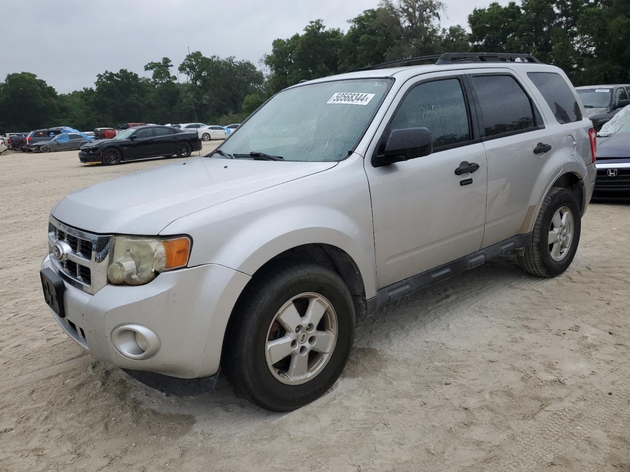 2010 FORD ESCAPE XLT