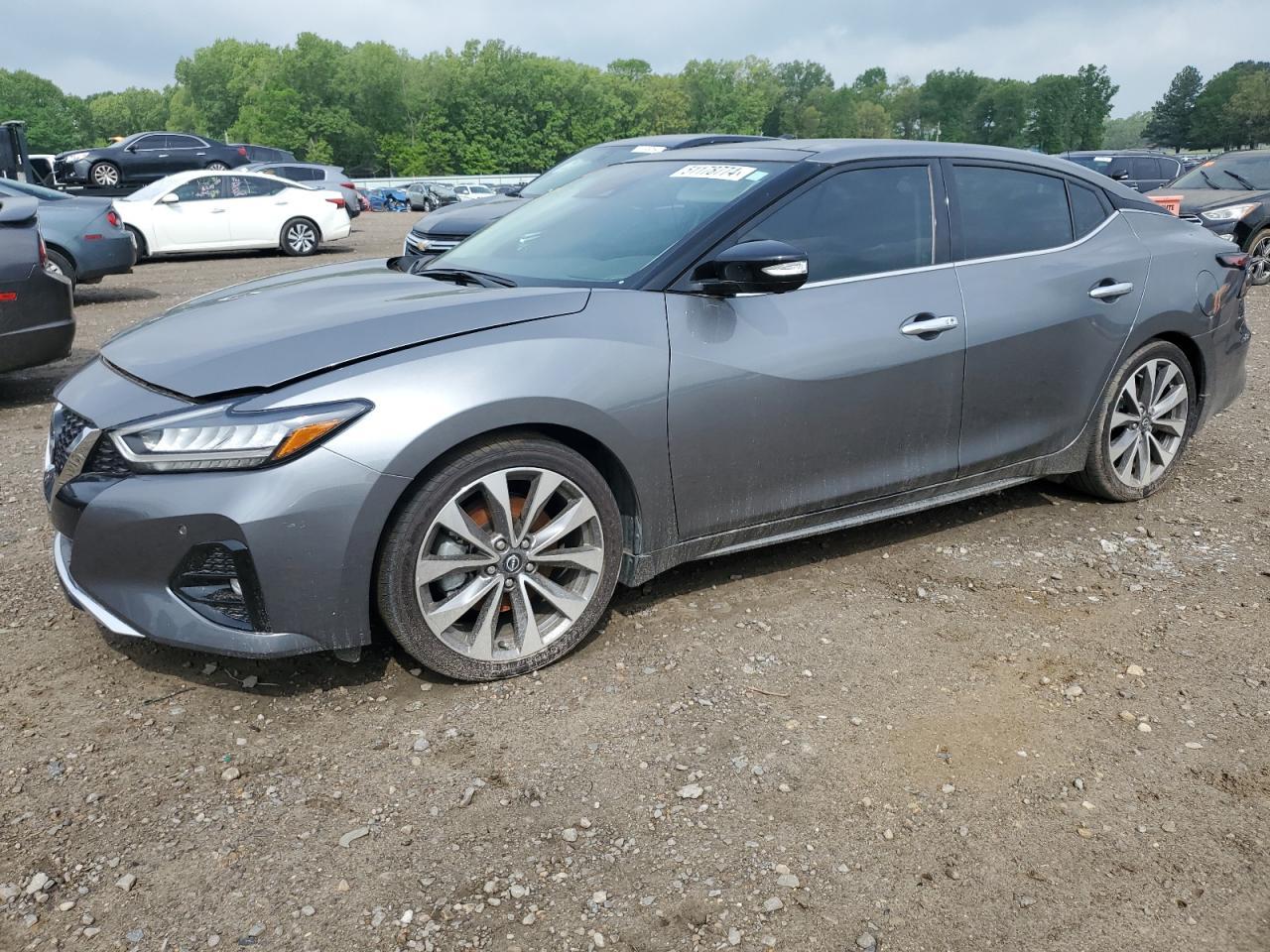 2023 NISSAN MAXIMA PLA