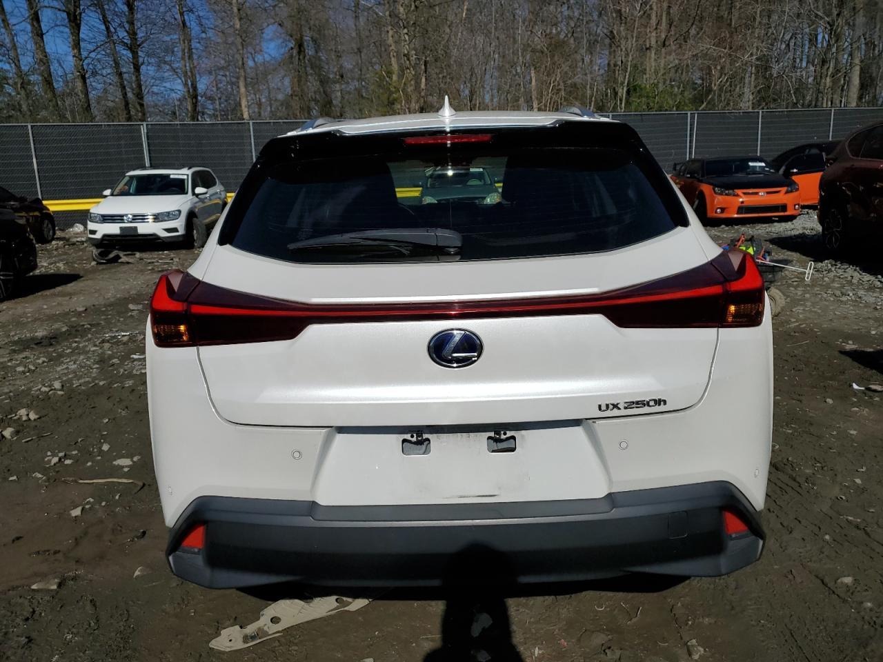 2020 LEXUS UX 250H - Image 6