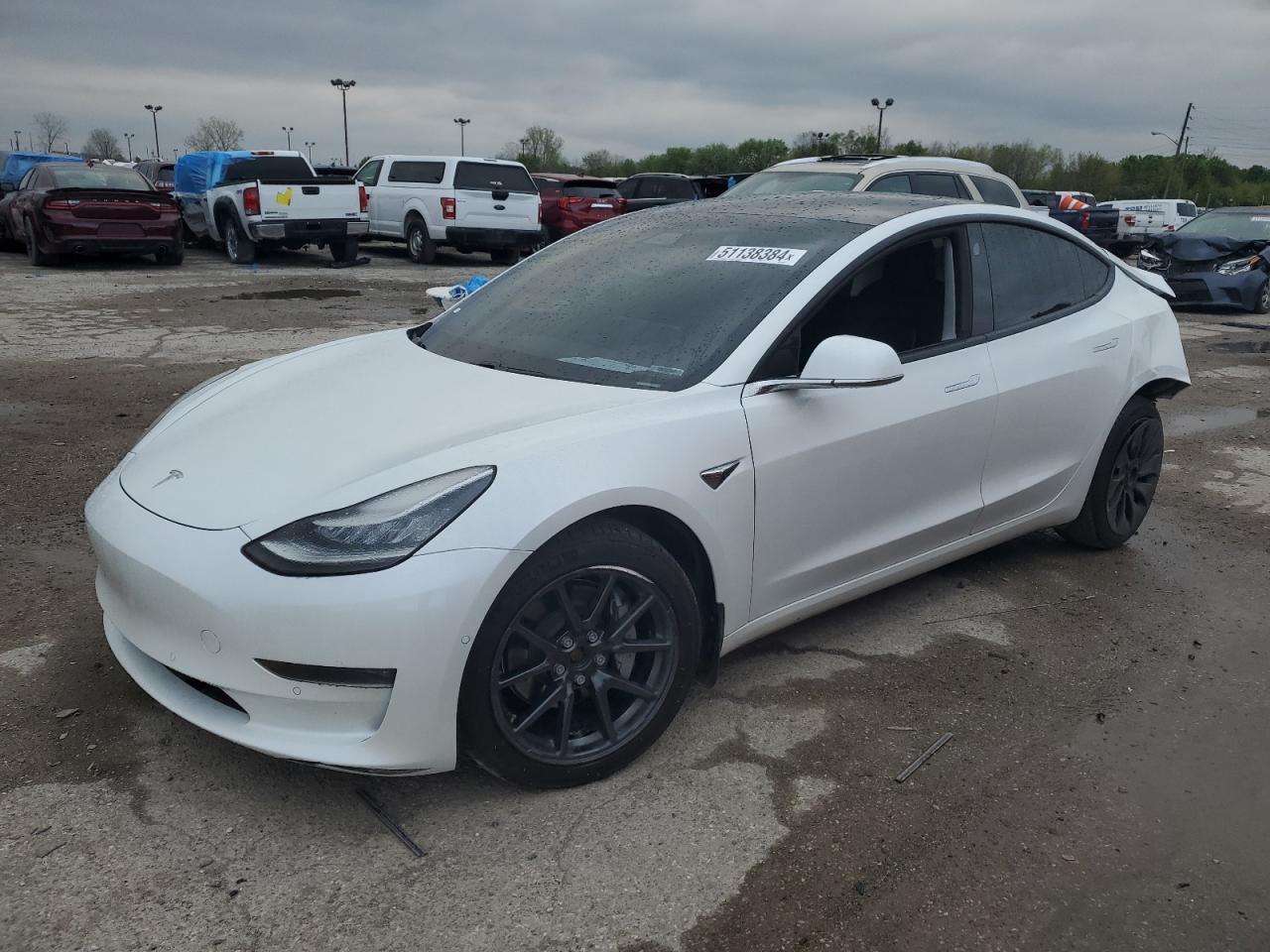 2020 TESLA MODEL 3 car image