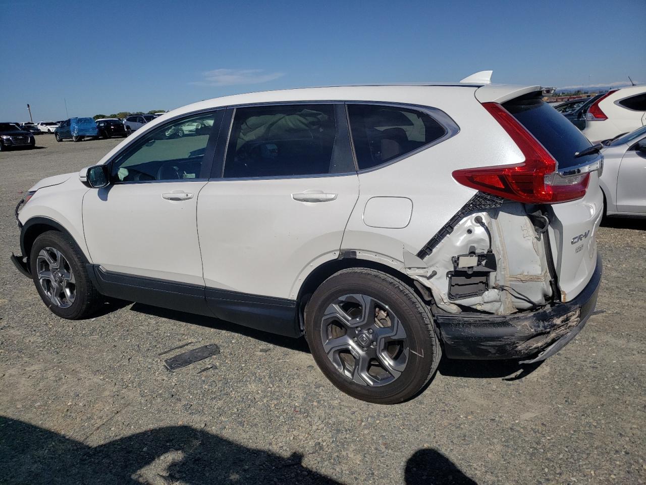 2019 HONDA CR-V EX - Фото 2
